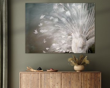 witte pauw ( white peacock) van Els Fonteine