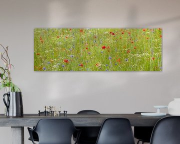 field with poppies, camomile and cornflowers by Hanneke Luit