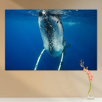 Das ist ein großer Wal von Koen Hoekemeijer