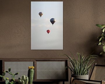 Luchtballonnen van MSP Canvas