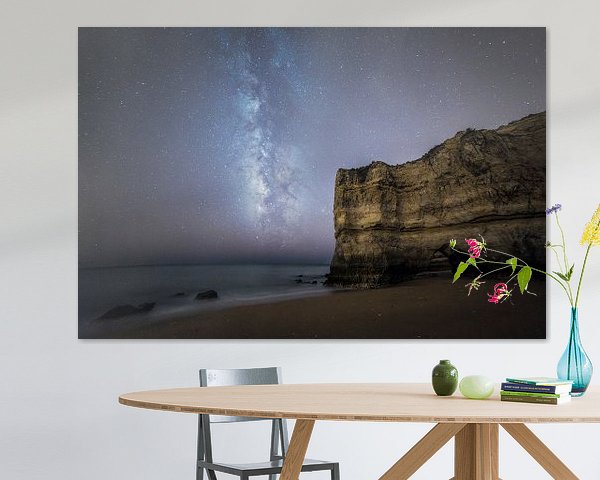 Voie lactée au-dessus de la plage et de la mer en Algarve, Portugal