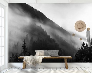 Regen in den Alpen in Schwarzweiss von Hidde Hageman