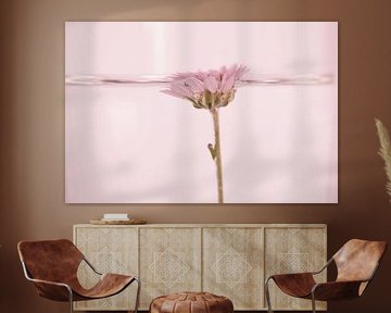 bloem in water