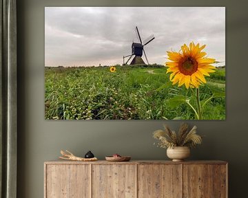 Gele zonnebloem in een polderlandschap met molen van Ruud Morijn