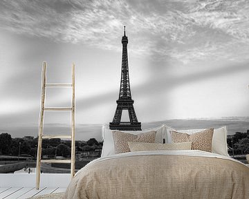 Eiffel tower in Paris, France/ black and white by Lorena Cirstea
