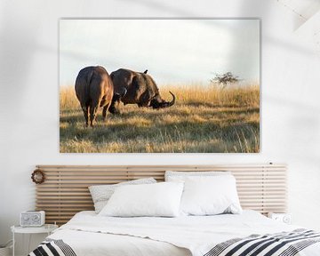 Buffels op de vlakte van Nathalie van der Klei