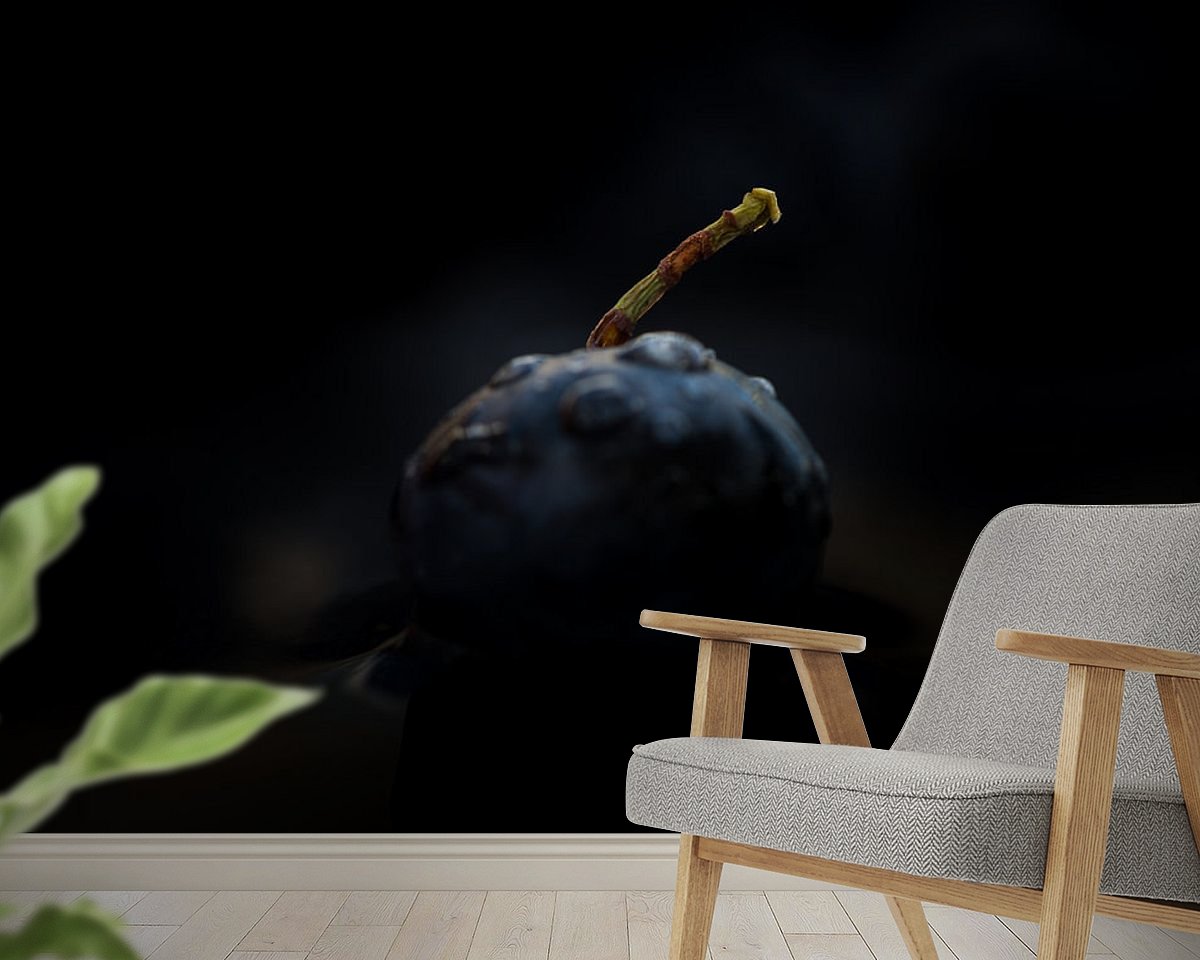 Raumvorschau