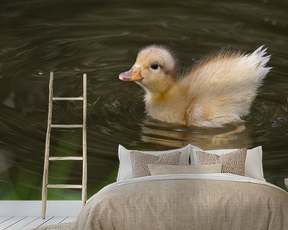 Aperçu de la chambre