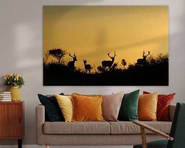 Damherten by sunset, fallow deer van Yvonne Steenbergen