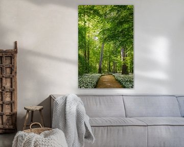 ways and paths X
