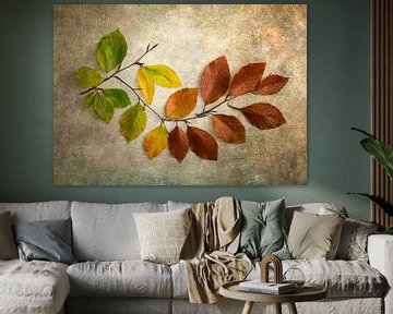 Herfstbladeren van groen naar bruin van Lorena Cirstea