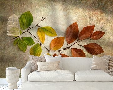 Autumn leaves from green to brown by Lorena Cirstea