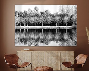 Bomen en reflecties / Zwart en wit