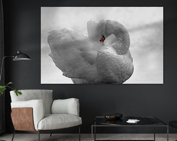 Zwaan zwart wit met kleurelement van Yvonne Steenbergen