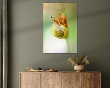 Snail flower -  Slakken bloem van Andrea Gulickx