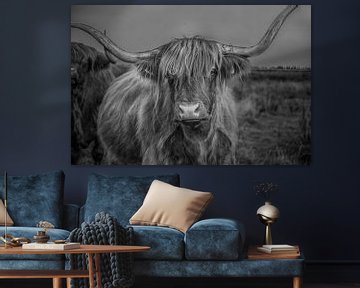 Zwart wit foto van koe rund met hoorn Schotse Hooglander van R Alleman