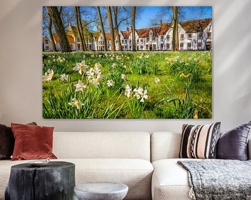 Narcissus 'beguinage' sur Johan Vanbockryck