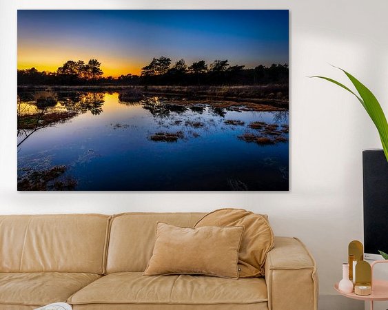 Aperçu de la chambre