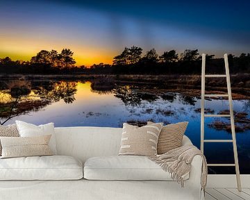 Het laatste licht van de dag