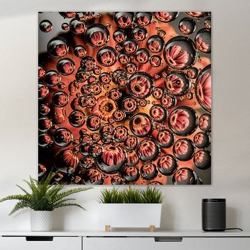 Roze Gerbera in druppels (vierkant) van Marjolijn van den Berg