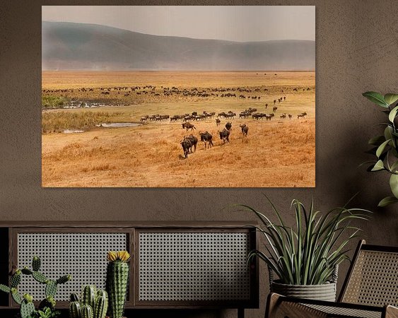 Aperçu de la chambre