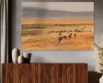 Tanzania Ngorongoro Crater