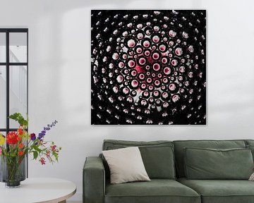 Roze bloem ( Gerbera ) in losse druppels (vierkant) van Marjolijn van den Berg