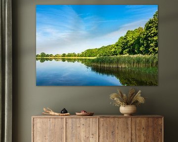 Landscape on a lake in Polzow, Germany van Rico Ködder