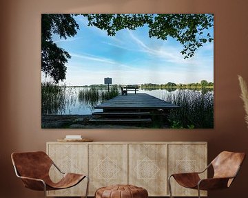 Landscape on a lake in Polzow, Germany van Rico Ködder