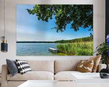 Landscape on a lake in Lindenhagen, Germany van Rico Ködder