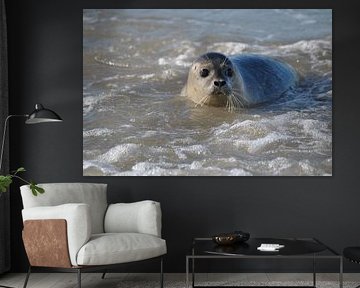 Zeehond von Karin Dragstra