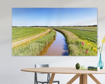 Landschap omgeving Pieterburen in Groningen