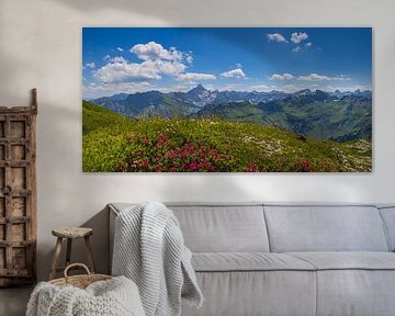 Alpine roses and Hochvogel by Walter G. Allgöwer