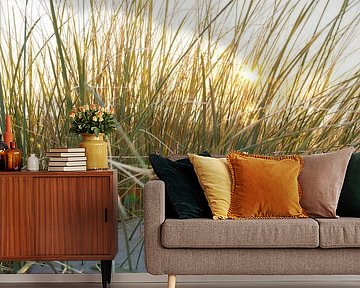 marram grass by Arjan van Duijvenboden