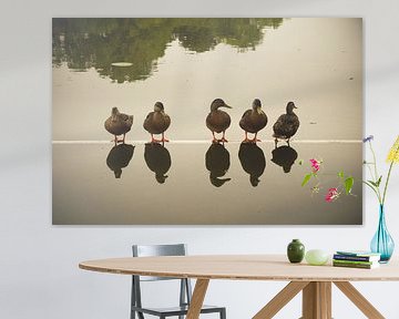 Five Ducks van Jörg Hausmann