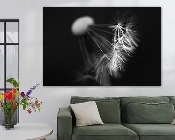 Een paardebloem kan bijna als kunst door het leven von Mike Bot PhotographS