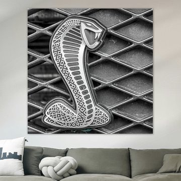 Ford Shelby GT500 Cobra