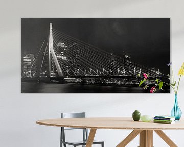 Rotterdam, Erasmusbrug bij Night