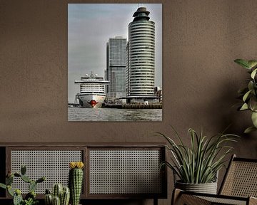 Rotterdam, De Wilhelminapier van Rob Jansen