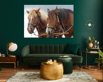 Horse by René Perdok