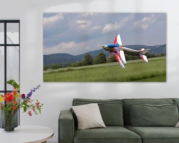 Kunstflieger von Tim Klausner