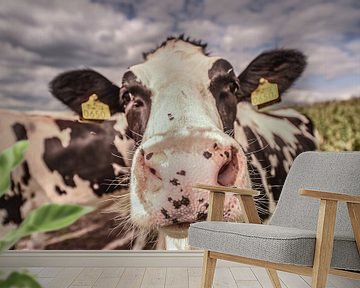 cow by Tara Kiers