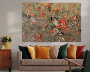 Goldfish China by Berg Photostore