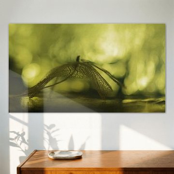 Dance, dance, dance!