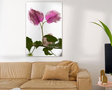 Botanische roze bladeren op magische retour van Tot Kijk Fotografie: natuur aan de muur