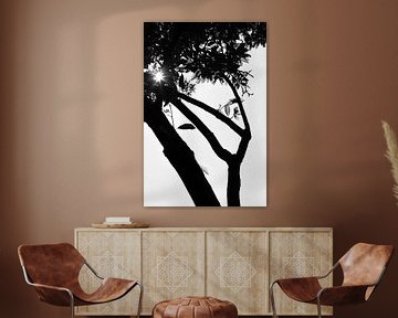 Zonnestralen door boom (zwartwit) van Tot Kijk Fotografie: natuur aan de muur