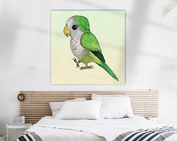 Schattige papegaai van Bianca Wisseloo