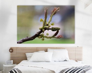 Graceful walnut branch by Tot Kijk Fotografie: natuur aan de muur
