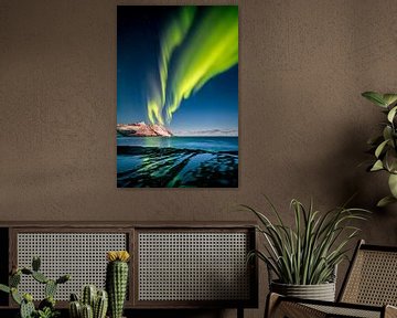 Aurora Borealis in Northern Norway by Sascha Kilmer