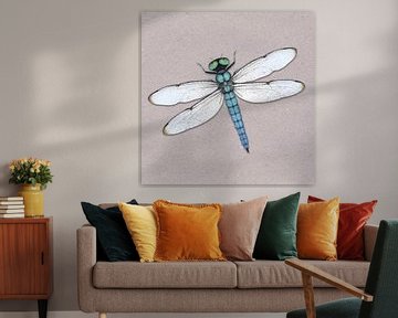 Blue dragonfly by Bianca Wisseloo